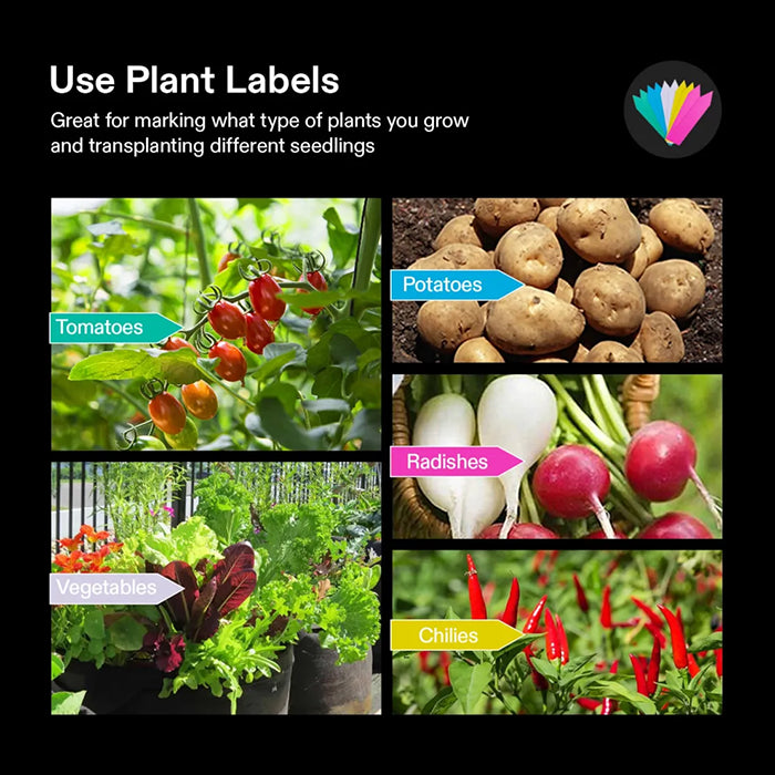 Vivosun Thick Nonwoven Fabric Pot with Handles & Multi-Purpose Rings, 5 Gallon, Pack of 5