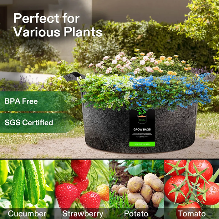 Vivosun Thick Nonwoven Fabric Pot with Handles, 100 Gallon