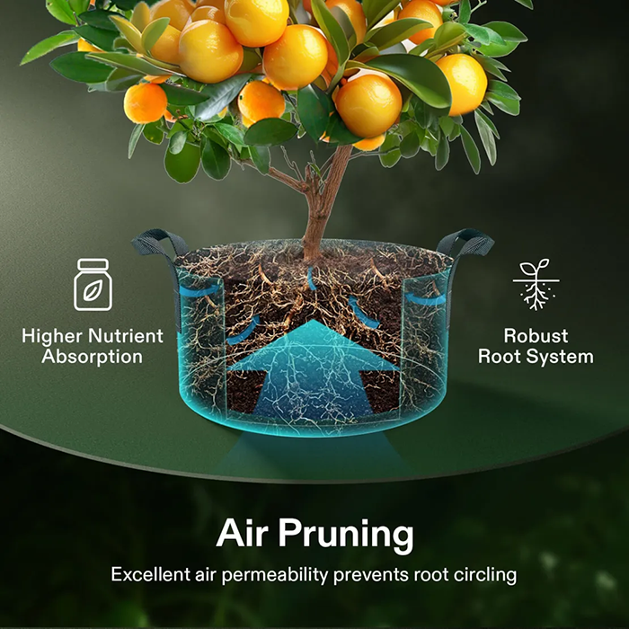 Vivosun Thick Nonwoven Fabric Pot with Handles, 100 Gallon