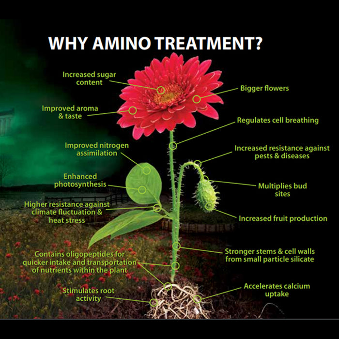 House and Garden Amino Treatment