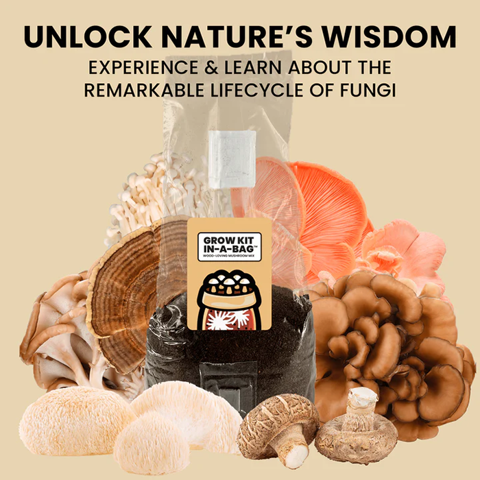 Mushroom Supplies Wood-Loving All In One Mushroom Grow Kit In-A-Bag, 3 lbs