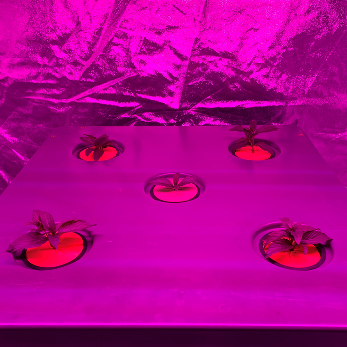 Bifarm Tech AeroXPS PRO Aeroponic Grow System With Integrated Climate Control