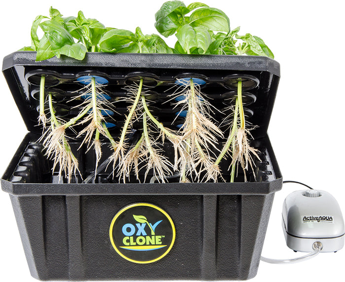 oxyCLONE 20 Site Cloning System