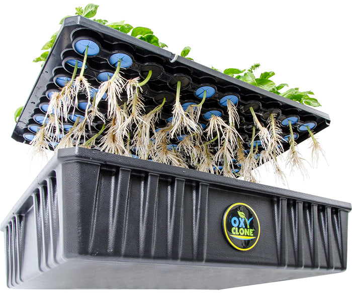 oxyCLONE Cloning System - 20, 40 & 80 Sites