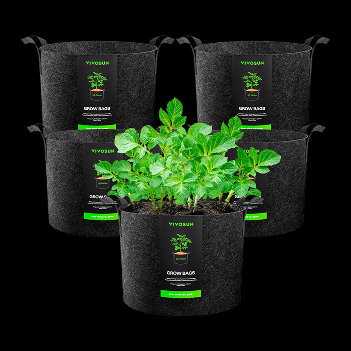 Vivosun Thick Nonwoven Fabric Pot with Handles, 20 Gallon, Pack of 5