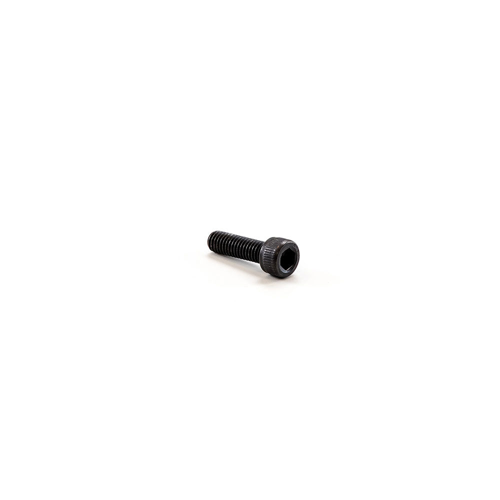 Twister T4 Leaf Collector: Vac Motor Impeller Bolt SHCS ZP M6-1 X 20 Reverse Thread