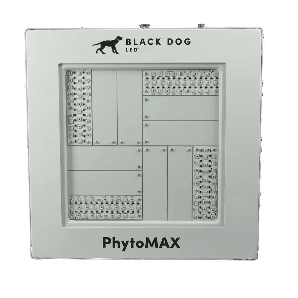 Black Dog PhytoMAX-4 4SP 250 Watt LED Grow Light, 240 Volt