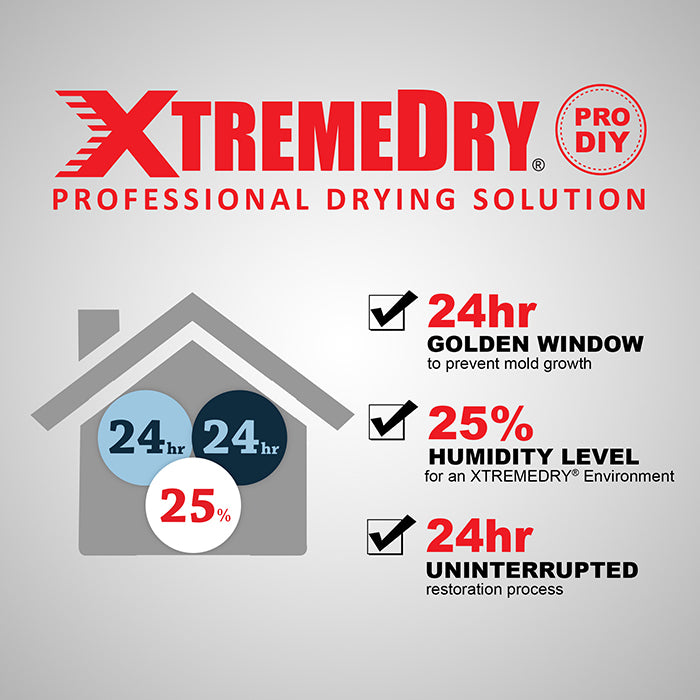 XPOWER XTREMEDRY Mojave Complete DIY Pro-Drying System
