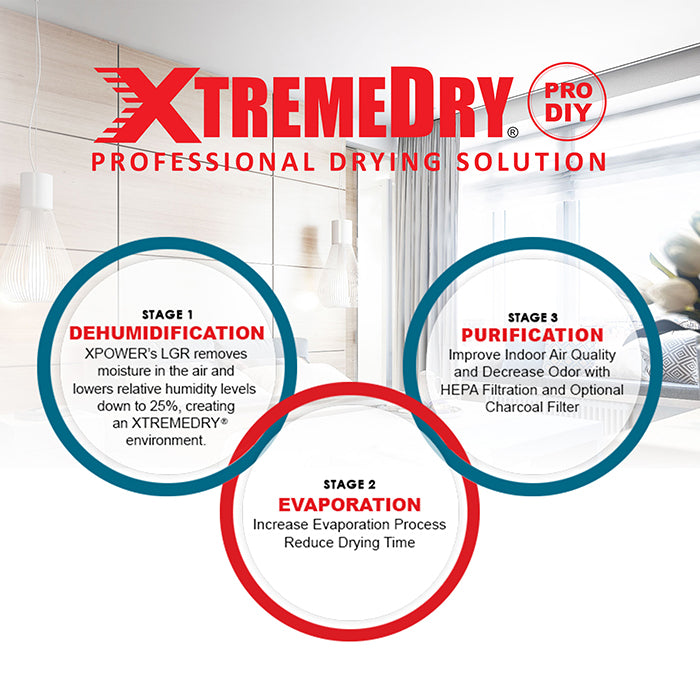 XPOWER XTREMEDRY Mojave Complete DIY Pro-Drying System