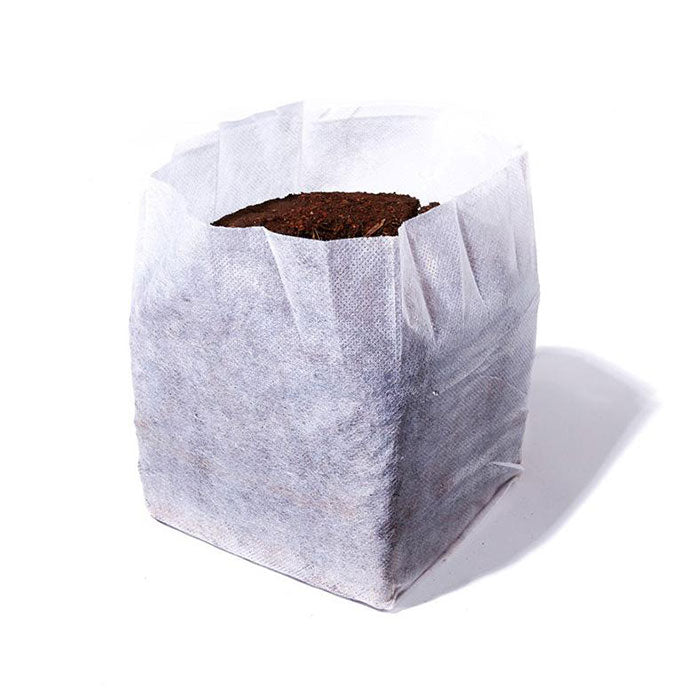 Char Coir BioPot