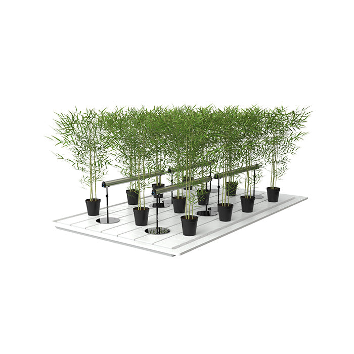 Grow Pros Solutions 4-Foot 125 Watt Under Canopy LED Grow Light Bar, Pack of 8