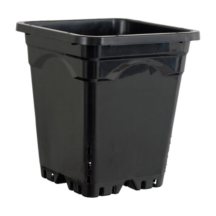 Active Aqua Square Black Pot