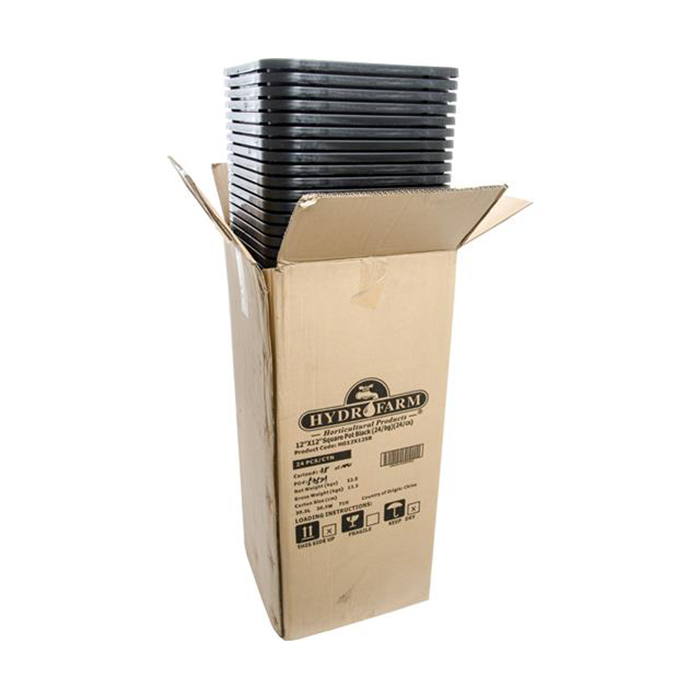 Active Aqua Square Black Pot