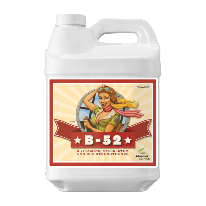 Advanced Nutrients Big Bud Coco Liquid, 10 Liter