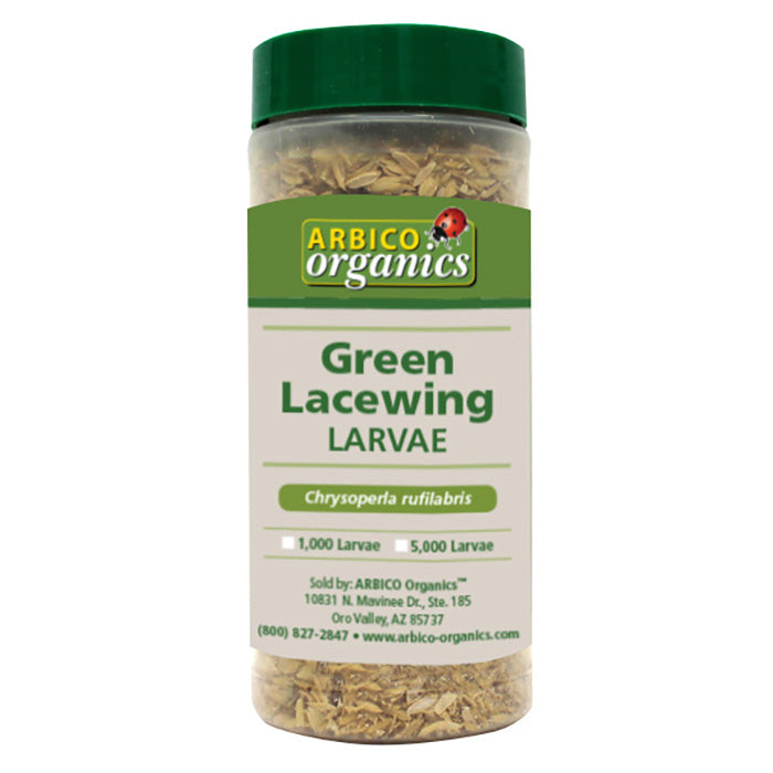 ARBICO Organics Green Lacewing Larvae, Bottle of 1,000