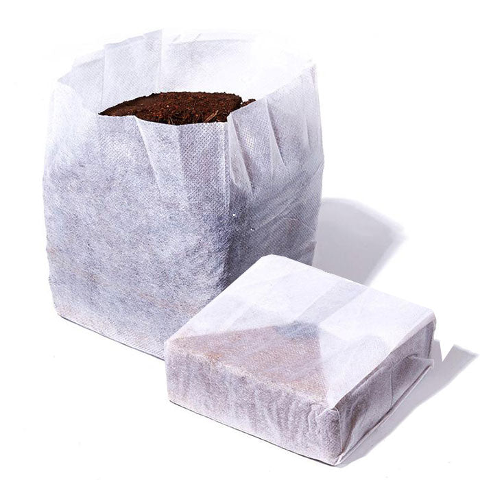 Char Coir BioPot