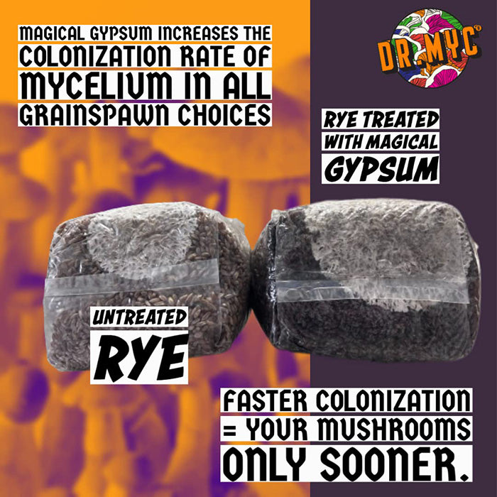 Dr. Myc Magical Gypsum, 1 Pound