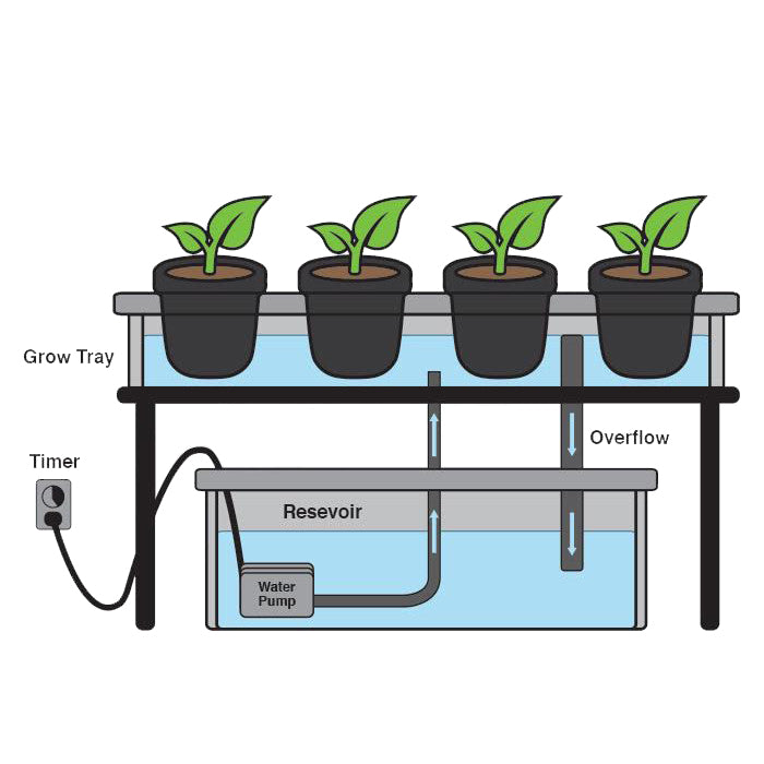 Ebb and Flow Hydroponic System Creator