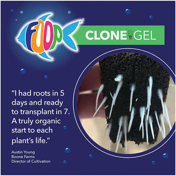 FOOP Clone Gel