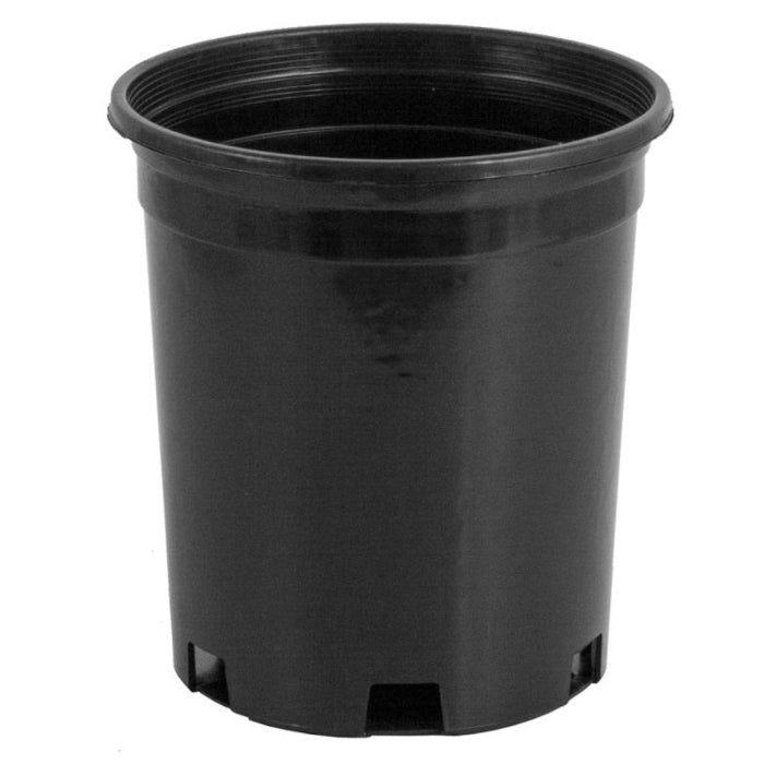 Pro Cal Premium Nursery Pot, 1 Gallon