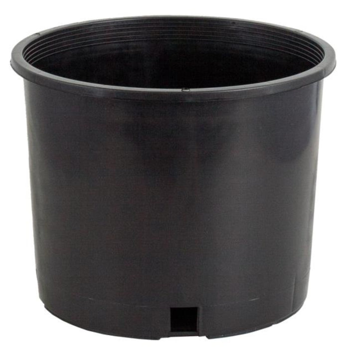Pro Cal Premium Nursery Pot, 3 Gallon