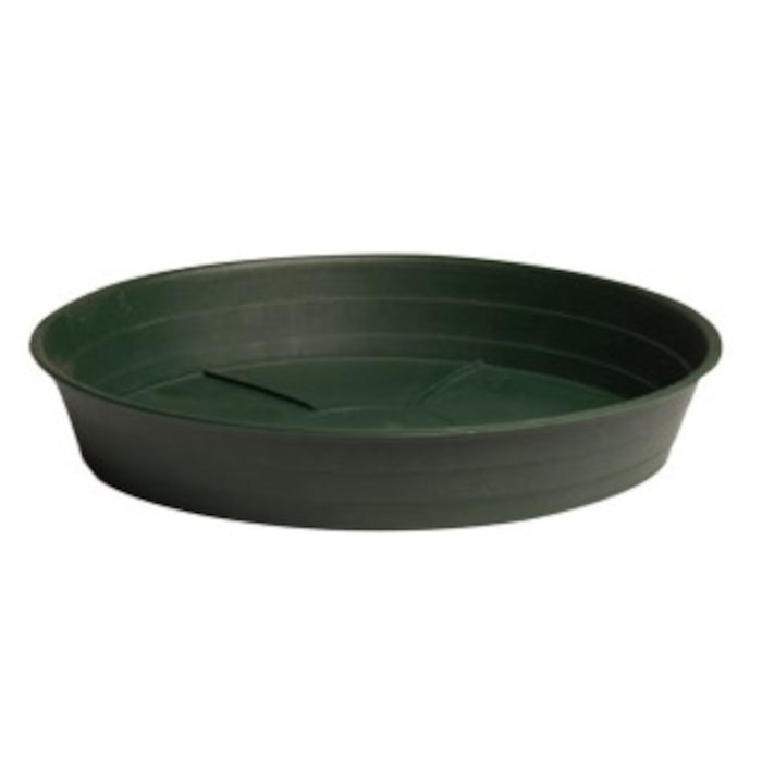 Hydrofarm Premium Green Saucer