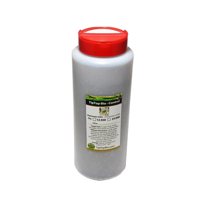 Tip Top Bio-Control Hypoaspis Miles/Stratiolaelaps Scimitus Beneficial Mites, Pack of 50,000