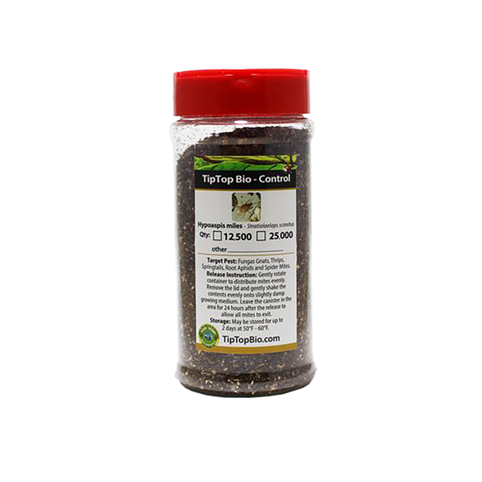 Tip Top Bio-Control Hypoaspis Miles/Stratiolaelaps Scimitus Beneficial Mites, Bottle of 12,500