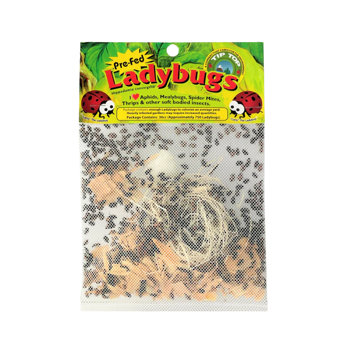 Tip Top Bio-Control Pre-Fed Ladybugs, Pack of 300
