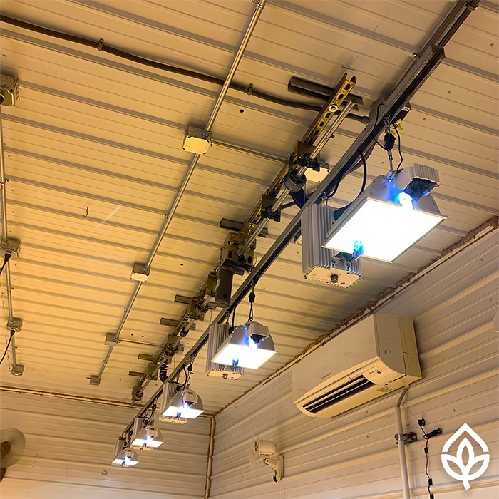 Lift And Grow Custom Motorized Adjustable Grow Light Mover With Hang Bar