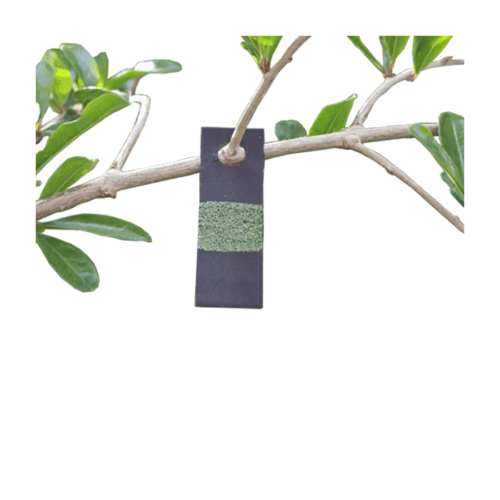 Tip Top Bio-Control Green Lacewing Eggs, Hanging Card of 5,000