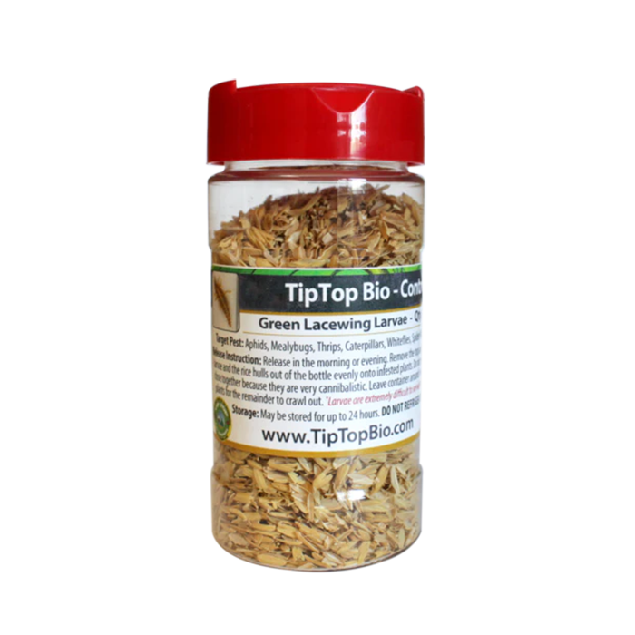 Tip Top Bio-Control Green Lacewing Larvae, Bottle of 1,000
