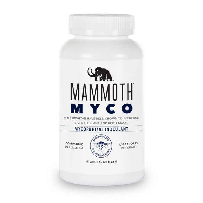 Mammoth Microbes Myco