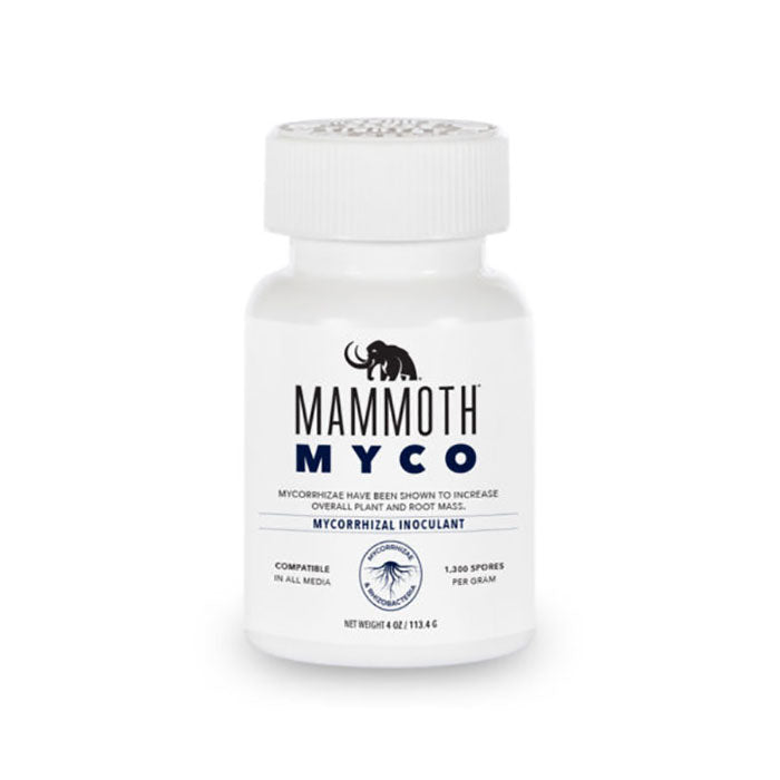 Mammoth Microbes Myco