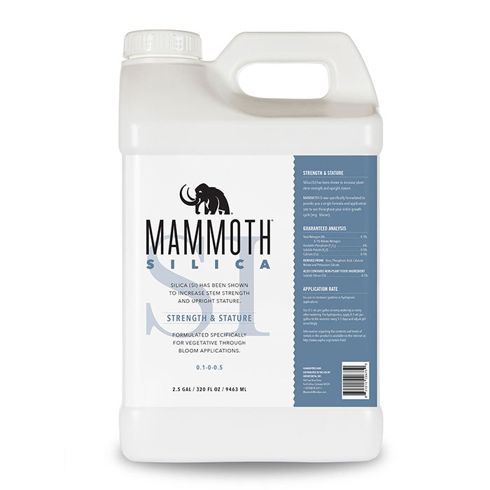 Mammoth Microbes Silica