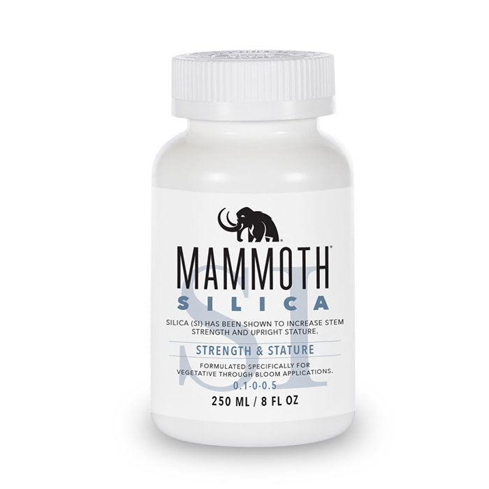 Mammoth Microbes Silica, 250 mL