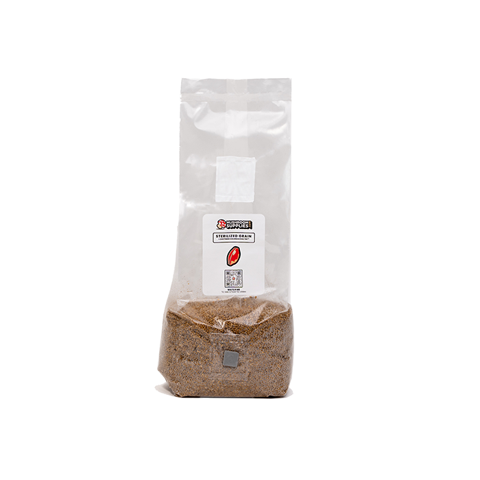 Mushroom Supplies Sterilized Mushroom Grain Spawn, 3 lb