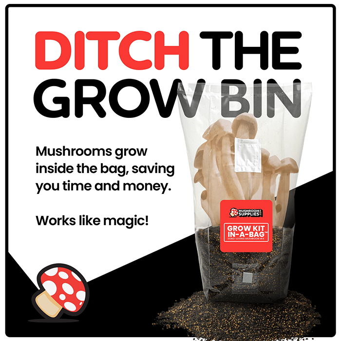 Mushroom Supplies All In One Mushroom Grow Kit In-A-Bag