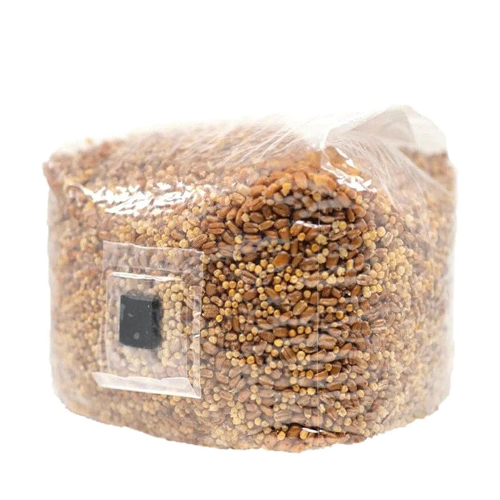 North Spore Sterilized Grain Bag