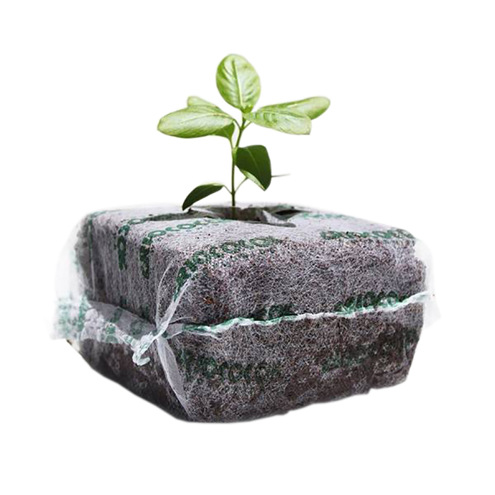 RIOCOCO PCM 4 in. x 4 in. Coco Starter Blocks - Pack of 275