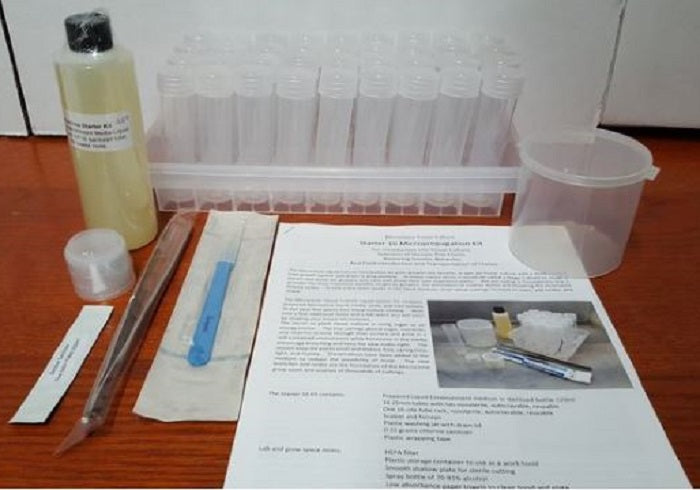 DL Wholesale Tissueponics Starter Kit 36