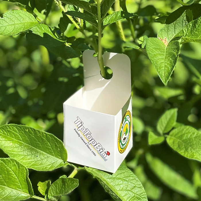 Tip Top Bio-Control Beneficial Insect Hanging Release Boxes