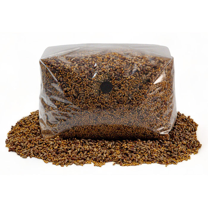 R&R Cultivation Organic Sterilized Grain