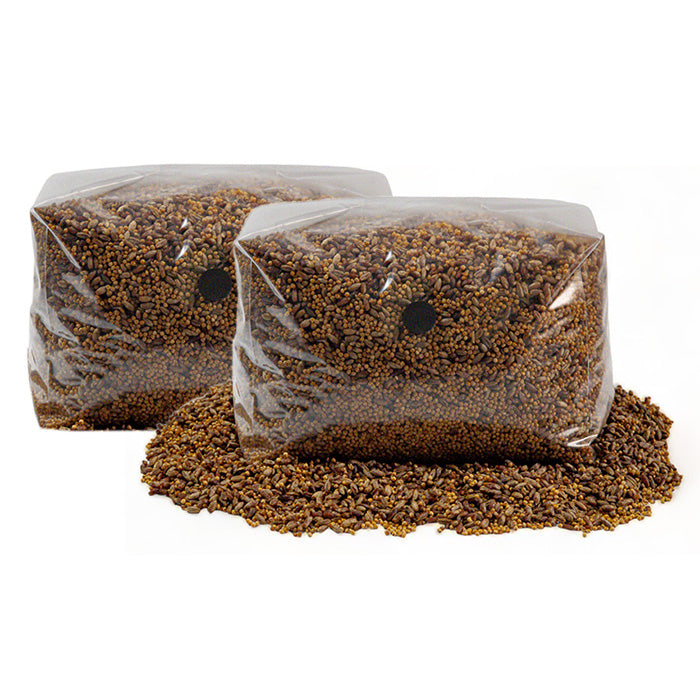 R&R Cultivation Organic Sterilized Grain, 3 lb - 2 Pack