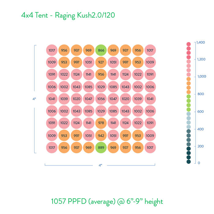 Scynce LED Raging Kush 2.0 650 Watt LED Grow Light - 120 Volt