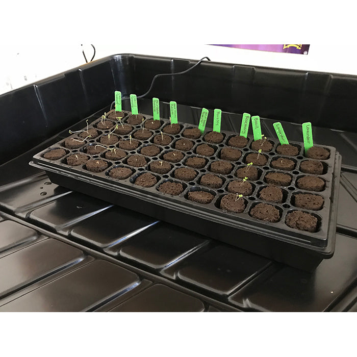Seed Starter Kit
