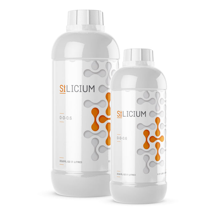 Silicium Mono Silicic Acid
