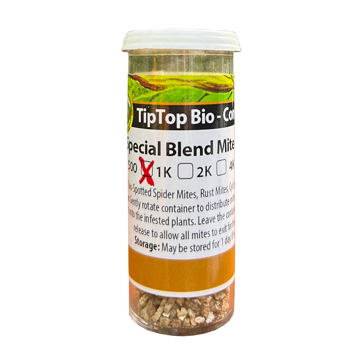 Tip Top Bio-Control Special Blend Mite Predator Beneficial Mite Mix, Vial of 1,000