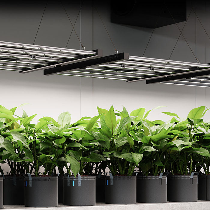 AC Infinity IONFRAME EVO4 300 Watt LED Grow Light With Samsung LM301H EVO Diodes