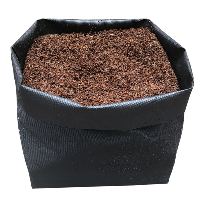 The Coco Depot GroEzy 10 Gallon Expandable Pot - Pack of 8